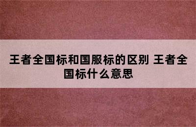 王者全国标和国服标的区别 王者全国标什么意思